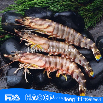 HL002 prix congelé des crevettes pour vos fruits de mer